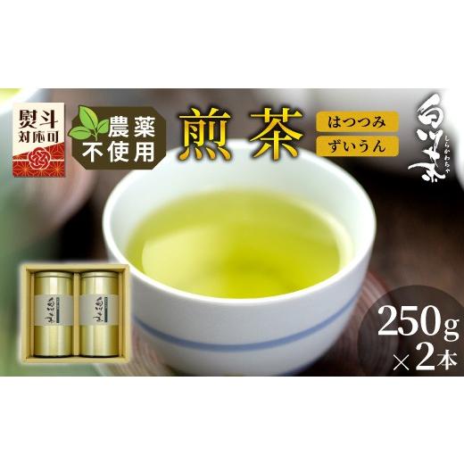 ふるさと納税 お茶類 緑茶(茶葉・ティーバッグ) 岐阜県 東白川村 農薬不使用 煎茶 ギフト NO.1 (はつつみ250g+ずいうん250g 計500g) 常磐園 ずいうん 日本…