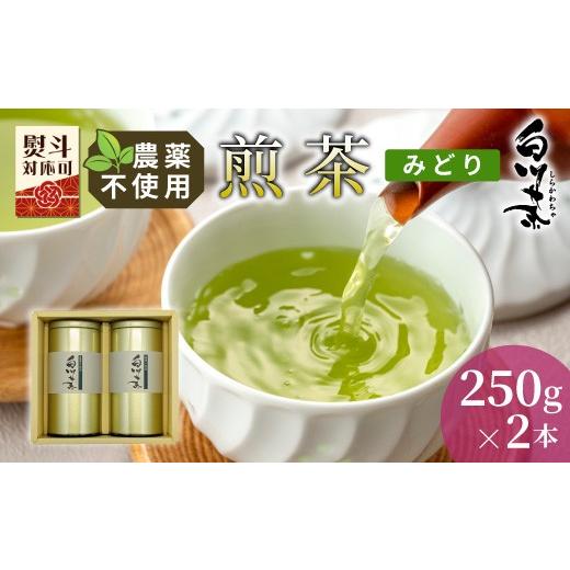 ふるさと納税 お茶類 緑茶(茶葉・ティーバッグ) 岐阜県 東白川村 農薬不使用 煎茶 ギフト NO.4 (みどり250g×2 計500g) 常磐園 ずいうん 日本茶 緑茶 煎茶 …