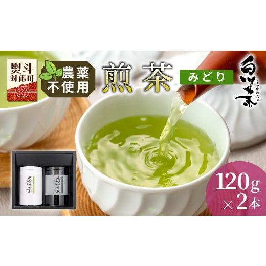 ふるさと納税 お茶類 緑茶(茶葉・ティーバッグ) 岐阜県 東白川村 農薬不使用 煎茶 ギフト NO.16 (みどり120g×2 計240g) 常磐園 みどり 日本茶 白川茶 美濃…