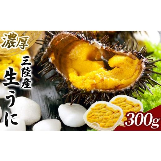 ふるさと納税 ウニ 岩手県 釜石市 fc-25-020 中村家の生うに 5月中旬から7月頃期間限定 お届け便 2パック 中村家 150g×2パック