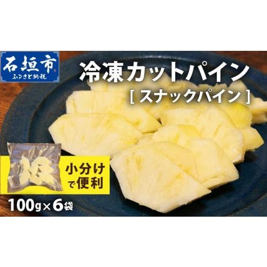 ふるさと納税 果物類 沖縄県 石垣市 [4月以降発送]袋をあければそこは南国 完熟スナックパインをカットして小分けでお届け 100g×6パック TF-103 冷凍カット…