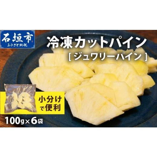 ふるさと納税 果物類 沖縄県 石垣市 [6月以降発送]袋をあければそこは南国 完熟ジュワリーパインをカットして小分けでお届け 100g×6パック TF-105 冷凍カッ…