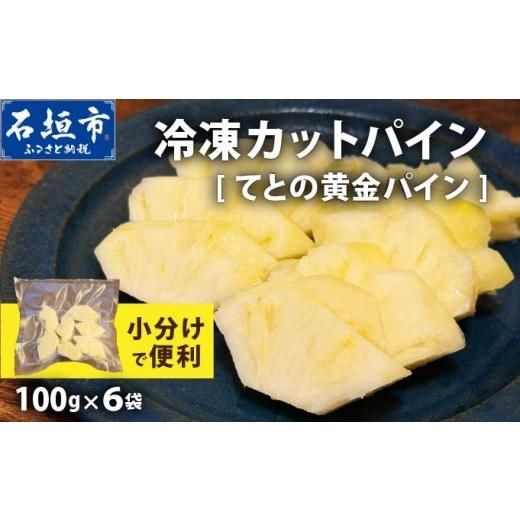 ふるさと納税 果物類 沖縄県 石垣市 [6月以降発送]袋をあければそこは南国 完熟てとの黄金パインをカットして小分けでお届け 100g×6パック TF-106 冷凍カッ…