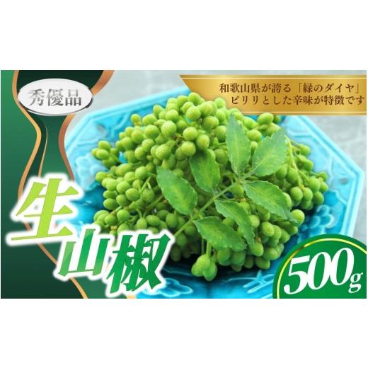 ふるさと納税 野菜類 薬味 和歌山県 紀美野町 先行予約 ぶどう生山椒 500g 5月上旬〜5月中旬頃に順次発送予定 味好農園 / 山椒 さんしょう 生山椒 生さんし…