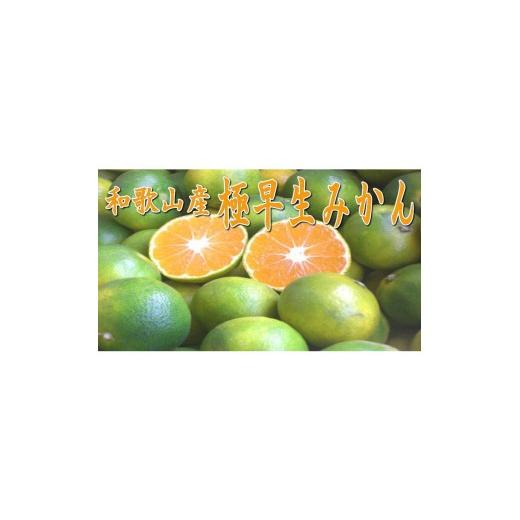 ふるさと納税 果物類 みかん 和歌山県 御坊市 「濃厚な味のとろける美味しさ」極早生みかん [先行予約]約2.5kg 甘酸っぱいみかん