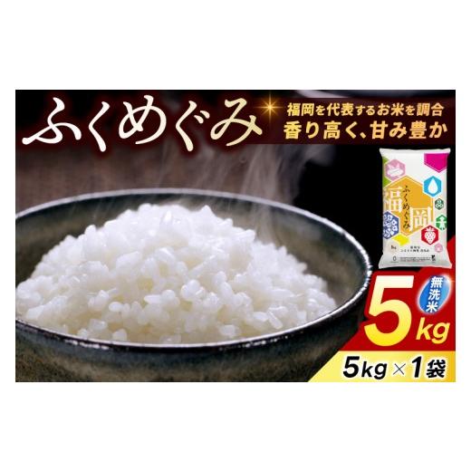 ふるさと納税 無洗米 福岡県 添田町 令和7年産 無洗米 5kg (5kg×1) お米 精米 白米 「訳あり ふくめぐみ」 米 ブレンド米 複数原料米 福岡県産 5kg 5キロ 米…