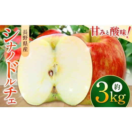 ふるさと納税 りんご 長野県 伊那市 りんご 信州 上伊那産 シナノドルチェ 約3kg (12玉) | 果物 フルーツ りんご 林檎 シナノドルチェ 上伊那産 長野県 伊那…