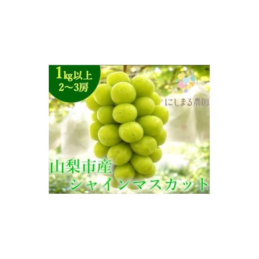 ふるさと納税 ぶどう 山梨県 山梨市 2026年発送 シャインマスカット 2〜3房 (約1kg) 山梨県山梨市産のフルーツ 1726268