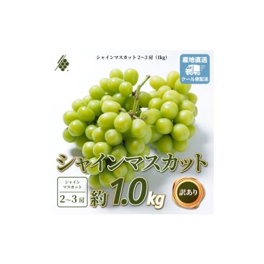 ふるさと納税 ぶどう 山梨県 山梨市 シャインマスカット 2〜3房 計1kg 訳あり ご家庭用 1729248