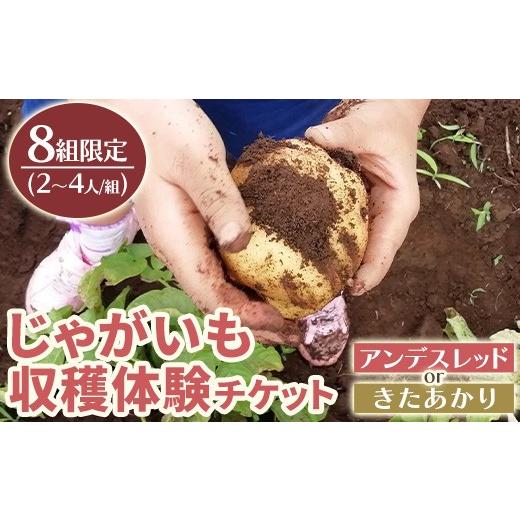 ふるさと納税 宿泊券 ペンション・コテージ 鹿児島県 湧水町 y593 湧水町じゃがいも収穫体験チケット(1列分) 収穫 収穫体験 体験 チケット ジャガイモ 芋 招待…