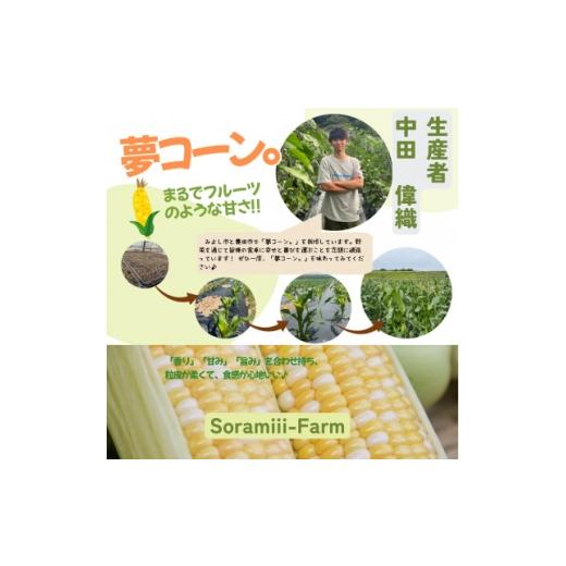 ふるさと納税 とうもろこし 愛知県 みよし市 2026年度先行受付 愛知県みよし市産 朝採り「夢コーン。」Lサイズ20本セット 数量限定 1727422