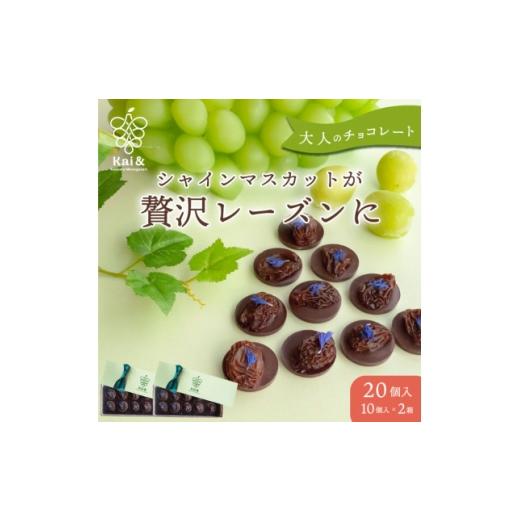ふるさと納税 菓子 チョコレート 山梨県 - 山梨県産シャインマスカット使用 大粒レーズンのチョコレート マンディアン 10個入り×2箱 1719164