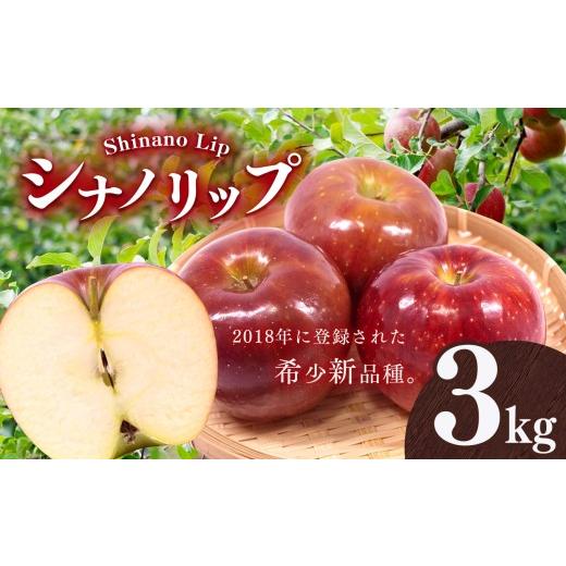 ふるさと納税 りんご 長野県 伊那市 りんご 信州 上伊那産 贈答用 シナノリップ 約3kg (12玉) | 果物 フルーツ りんご 林檎 贈答用 シナノリップ 上伊那産 …