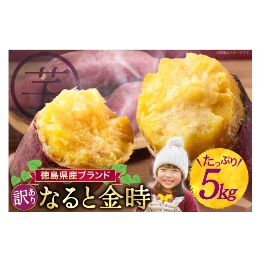 ふるさと納税 野菜類 サツマイモ 徳島県 北島町 さつまいも 訳あり なると金時 甘藷 5kg Lサイズ 増田 和記 徳島県 北島町 29bb0002 サツマイモ さつま芋 5キ…