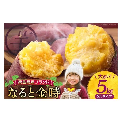 ふるさと納税 野菜類 サツマイモ 徳島県 北島町 さつまいも 訳あり なると金時 甘藷 2Lサイズ 5kg 増田 和記 徳島県 北島町 29bb0007 サツマイモ さつま芋 鳴…