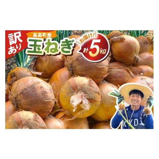 ふるさと納税 野菜類 玉ねぎ 山形県 高畠町 期間限定発送 訳あり 玉ねぎ 5kg 期間限定発送 農家の店しゃんくすろーど 山形県 高畠町 tk06bcz250004 玉葱 5キ…