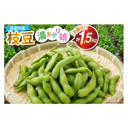 ふるさと納税 豆類 枝豆 山形県 高畠町 期間限定発送 枝豆 300g 5袋 計1.5kg 期間限定発送 農家の店しゃんくすろーど 山形県 高畠町 tk06bcz250003 えだまめ …