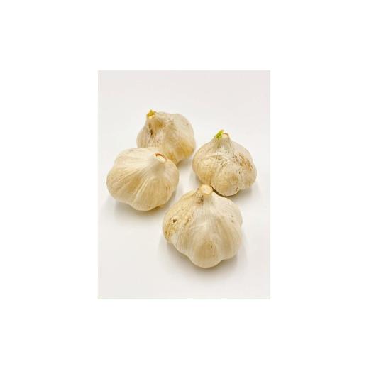 ふるさと納税 野菜類 薬味 岐阜県 飛騨市 [先行予約]飛騨産 生にんにく 選べる内容量 300g 生ニンニク 6月中旬〜下旬発送 水村農園 Q3220 300g