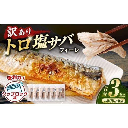 ふるさと納税 魚貝類 鹿児島県 薩摩川内市 トロ塩サバフィーレ 約3.0kg 約500g×6袋 (A品、B品混合) 鯖 鯖フィレ 訳 さば サバ 冷凍 BS-554