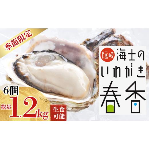 ふるさと納税 牡蠣 生牡蠣 島根県 海士町 肉厚 いわがき春香 6個|1.2kg 手のひらサイズの極上岩牡蠣(生食可)2026年4月〜5月お届け| 海鮮 海産物 海の幸 …