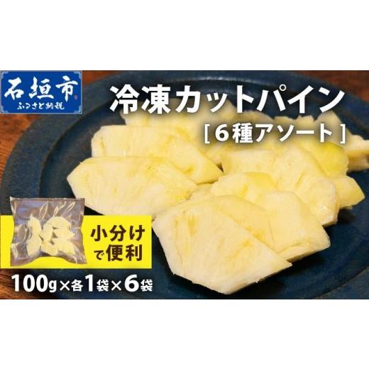 ふるさと納税 果物類 沖縄県 石垣市 [7月以降発送]袋をあければそこは南国 贅沢に完熟パイン6種類をカットして小分け、詰め合わせにしてお届け 各100g×6パ…
