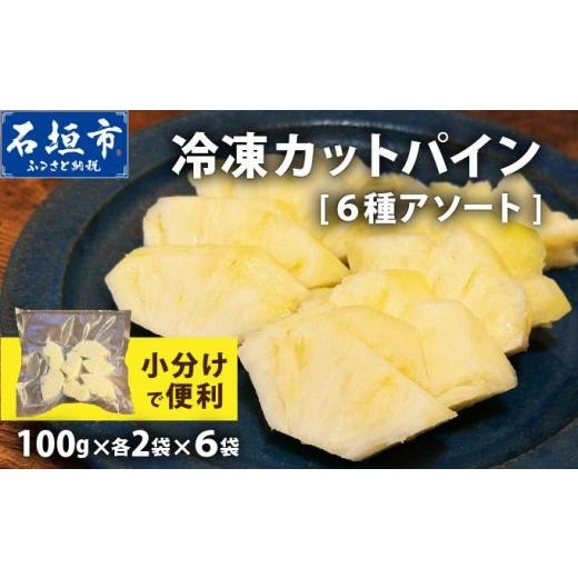ふるさと納税 果物類 沖縄県 石垣市 [7月以降発送]袋をあければそこは南国 贅沢に完熟パイン6種類をカットして小分け、詰め合わせを大容量でお届け 100g各2…