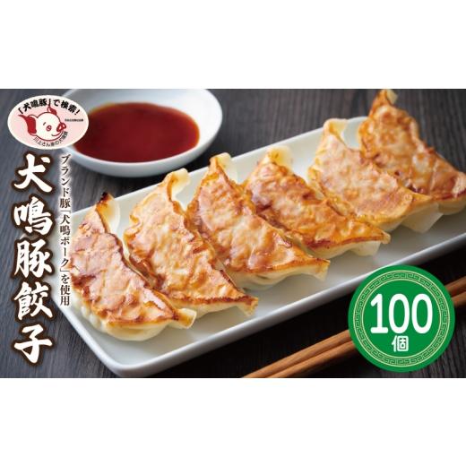 ふるさと納税 餃子 大阪府 泉佐野市 泉佐野ブランド豚 犬鳴豚餃子 100個 国産 豚肉 ぶたにく 犬鳴ポーク 焼くだけ 人気 総菜 冷凍