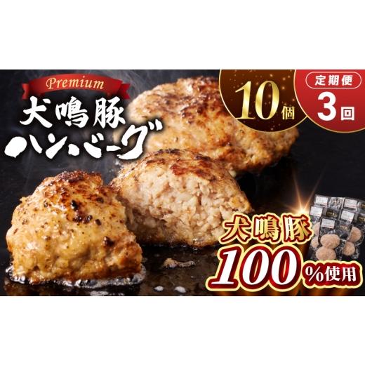 ふるさと納税 牛肉 ハンバーグ 大阪府 泉佐野市 泉佐野ブランド豚 犬鳴豚の手作りプレミアムハンバーグ(10個入り)×3回 国産 豚肉 ぶたにく 定期便 犬鳴ポ…