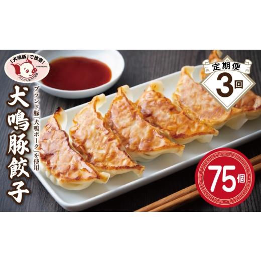 ふるさと納税 餃子 大阪府 泉佐野市 泉佐野ブランド豚 犬鳴豚餃子 75個×3回 国産 豚肉 ぶたにく 定期便 犬鳴ポーク 焼くだけ 人気 総菜 冷凍