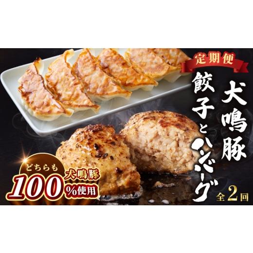 ふるさと納税 餃子 大阪府 泉佐野市 泉佐野ブランド豚 犬鳴豚餃子 75個/手作りプレミアムハンバーグ(10個入り) 全2回 国産 豚肉 ぶたにく 定期便 食べ比べ…