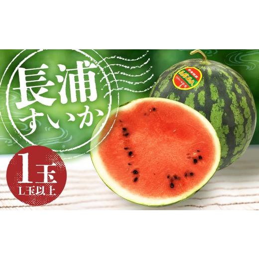 ふるさと納税 スイカ 長崎県 長崎市 地元民が愛する幻のすいか 長浦すいか (L玉以上/6kg〜) 2026年6月上旬〜6月下旬迄発送予定 琴海 果汁 食感 旬 すいか …