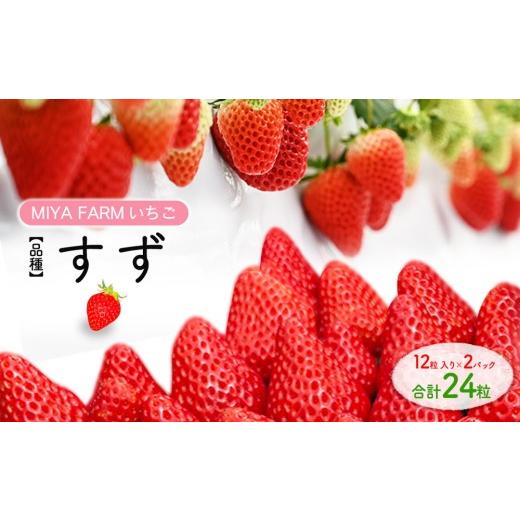 ふるさと納税 いちご 愛知県 春日井市 先行予約 MIYA FARM いちご(品種:すず)12粒入り×2パック 合計 24粒 北海道・沖縄・離島への配送不可 2027年1月中旬…