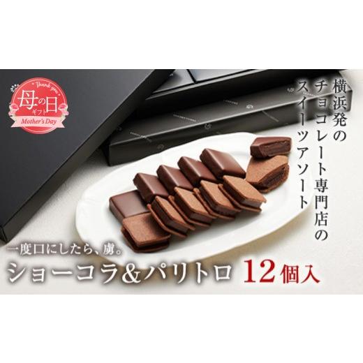 ふるさと納税 菓子 チョコレート 神奈川県 横浜市 母の日お届け VANILLABEANS ショーコラ&パリトロ 12個入 | TV紹介 母の日ギフト スイーツ 本格生チョコク…