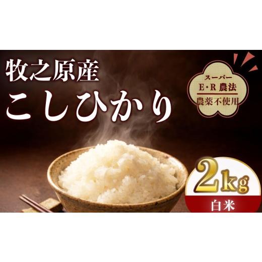 ふるさと納税 米 コシヒカリ 静岡県 牧之原市 国産 お米 コシヒカリ 2kg 令和7年度産 お米 白米 新米 白米 精米 ご飯 白 ごはん ごはん ご飯 おいしい 美味し…