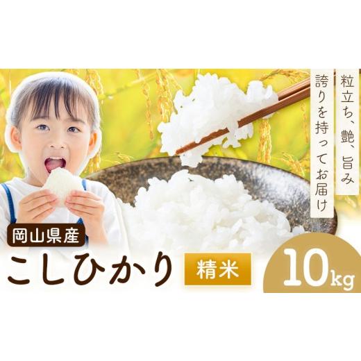 ふるさと納税 米 コシヒカリ 岡山県 浅口市 岡山県産 こしひかり 10kg(5kg×2袋) 精米 全農パールライス株式会社[30日以内に出荷予定(土日祝除く)] 岡山県 …