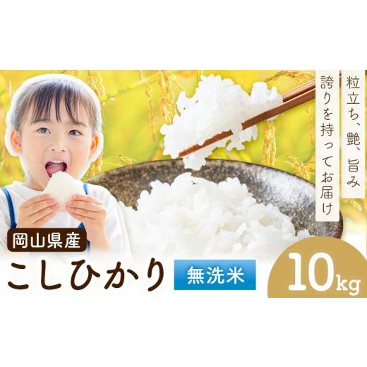 ふるさと納税 米 コシヒカリ 岡山県 浅口市 岡山県産 こしひかり 10kg(5kg×2袋) 無洗米 全農パールライス株式会社[30日以内に出荷予定(土日祝除く)] 岡山県…