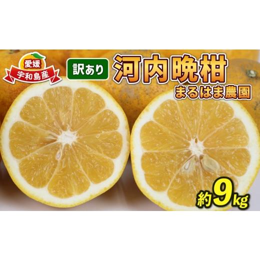 ふるさと納税 果物類 みかん 愛媛県 宇和島市 河内晩柑 9kg 愛媛みかん まるはま農園 先行予約 訳あり 晩柑 かわちばんかん 和製 グレープフルーツ 愛媛蜜柑 …