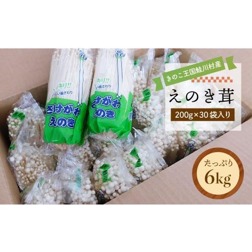 ふるさと納税 野菜類 きのこ 山形県 鮭川村 きのこ王国鮭川村産 [えのき茸] たっぷり6kg(200g×30袋入り)