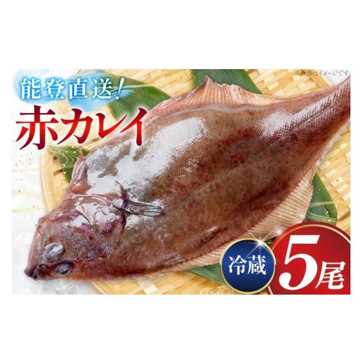 ふるさと納税 旬の鮮魚等 石川県 志賀町 カレイ 能登の赤カレイ 5尾 (1尾200〜300g) 計1kg程度 小川水産 石川県 志賀町 sk17bdm840009 かれい 赤カレイ 魚 さ…