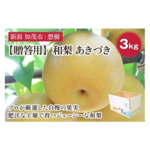 ふるさと納税 梨 新潟県 加茂市 2026年先行予約 贈答用 新潟県産和梨 あきづき 約3kg(4〜9玉)[9月中旬〜順次出荷] 梨 なし ナシ あきづき 果物 果樹 フル…