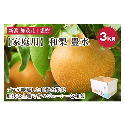 ふるさと納税 梨 新潟県 加茂市 2026年先行予約 家庭用 新潟県産和梨 豊水 約3kg(4〜9玉)[9月上旬〜順次出荷] 梨 なし ナシ 豊水 ほうすい 果物 果樹 フ…