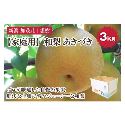 ふるさと納税 梨 新潟県 加茂市 2026年先行予約 家庭用 新潟県産和梨 あきづき 約3kg(4〜9玉)[9月中旬〜順次出荷] 梨 なし ナシ あきづき 果物 果樹 フル…