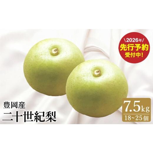 ふるさと納税 梨 兵庫県 豊岡市 二十世紀梨 7.5kg (18個〜25個) / 梨 産地直送 みずみずしい シャリシャリ 食感 さっぱり バランスの良い 酸味 甘味 減農薬…