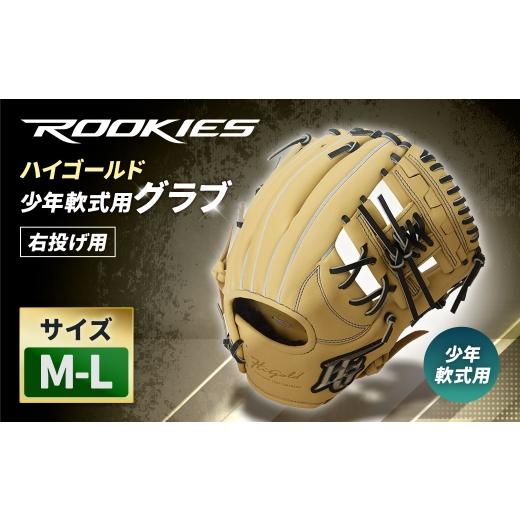 ふるさと納税 スポーツ・アウトドア 神奈川県 大和市 ハイゴールド少年軟式用グラブ / M-L / キャメル / 右投げ / ROOKIES / RKG-12ML レザー 軽さ 野球 …