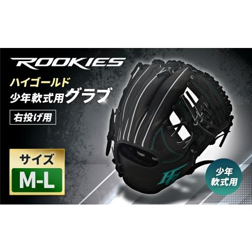 ふるさと納税 スポーツ・アウトドア 神奈川県 大和市 ハイゴールド少年軟式用グラブ / M-L / ブラック / 右投げ / ROOKIES / RKG-02ML レザー 軽さ 野球 …