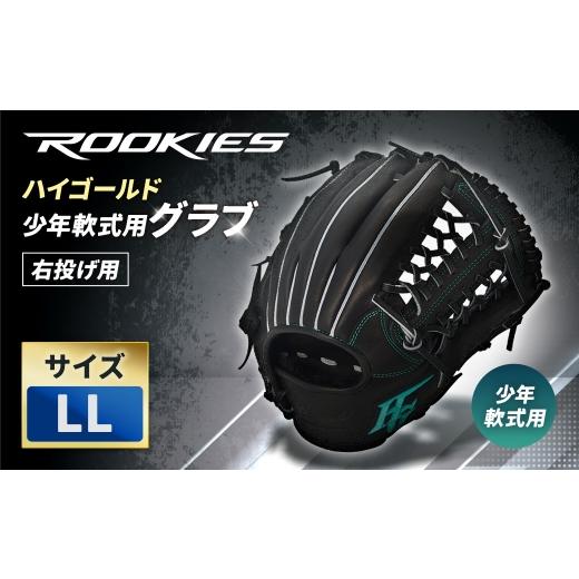 ふるさと納税 スポーツ・アウトドア 神奈川県 大和市 ハイゴールド少年軟式用グラブ / LL / ブラック / 右投げ / ROOKIES / RKG-03LL レザー 軽さ 野球 …