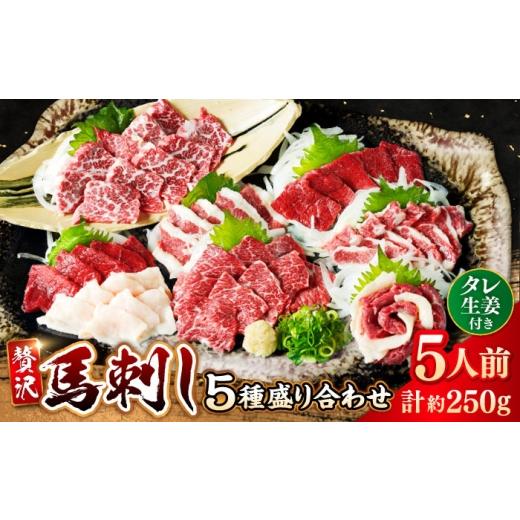 ふるさと納税 馬肉 熊本県 合志市 馬刺し 5種 盛り合わせセット 5人前 約250g 熊本直送 赤身馬刺し 霜降り馬刺し コーネ(たてがみ)馬刺し フタエゴ バラヒモ …