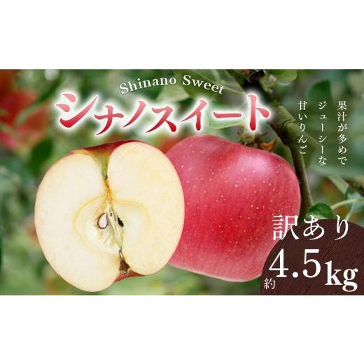 ふるさと納税 りんご 長野県 伊那市 りんご 信州 上伊那産 訳あり シナノスイート 約4.5kg (14〜18玉) | 果物 フルーツ りんご 林檎 訳あり シナノスイート …