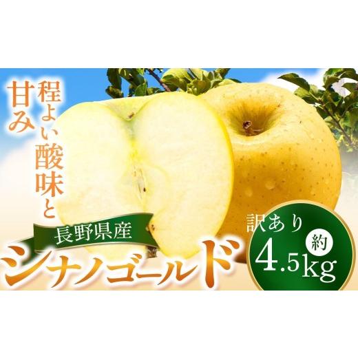 ふるさと納税 りんご 長野県 伊那市 りんご 信州 上伊那産 訳あり シナノゴールド 約4.5kg (14〜18玉) | 果物 フルーツ りんご 林檎 訳あり シナノゴールド …