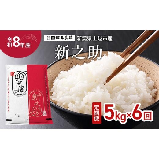 ふるさと納税 米 新潟県 上越市 先行予約 令和8年産 新潟県上越市産 窒素封入 新之助 定期便 5kg×6回(30kg) 毎月配送 上越市 坪井農場 精米